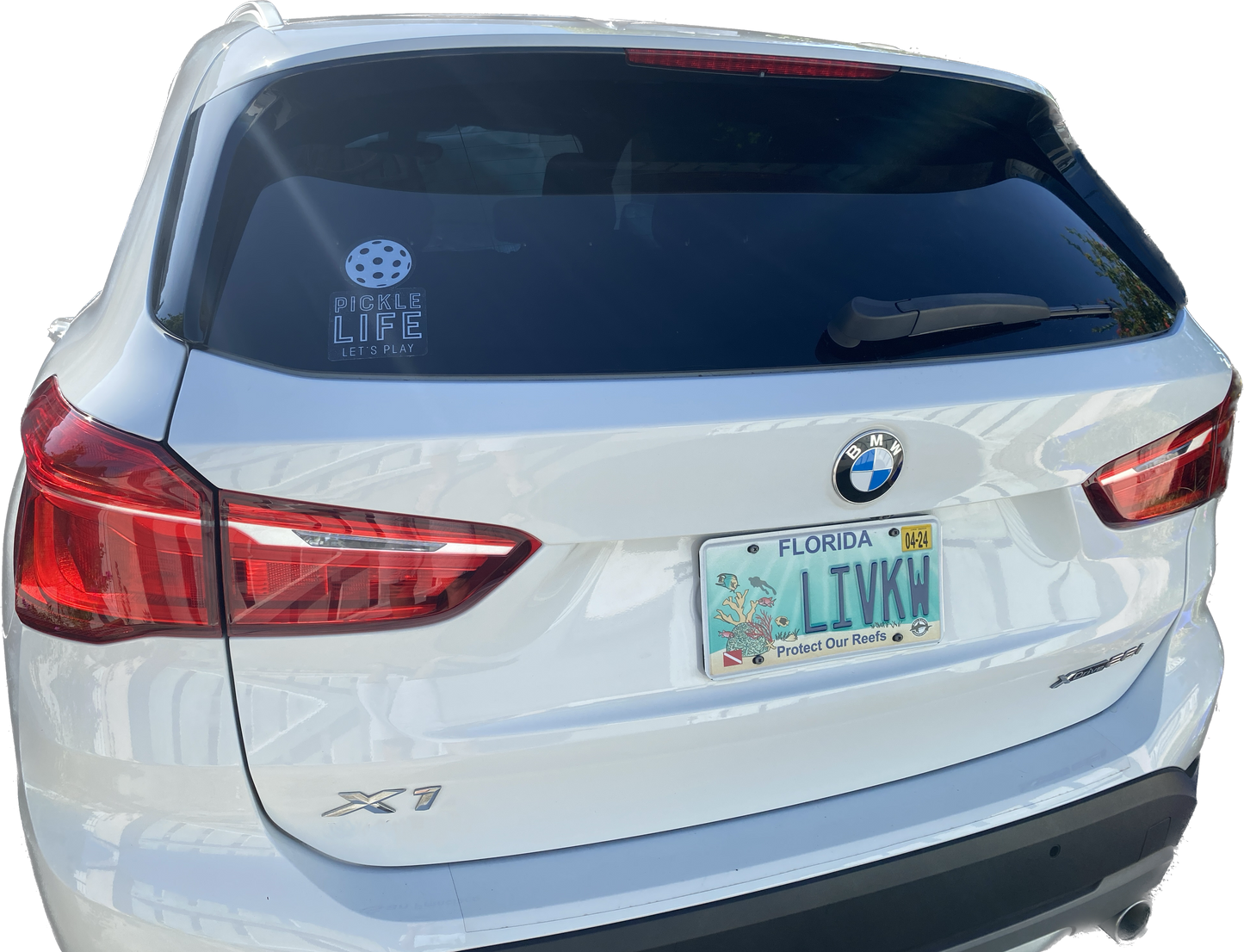 Pickle Life Clear Vehicle Decal